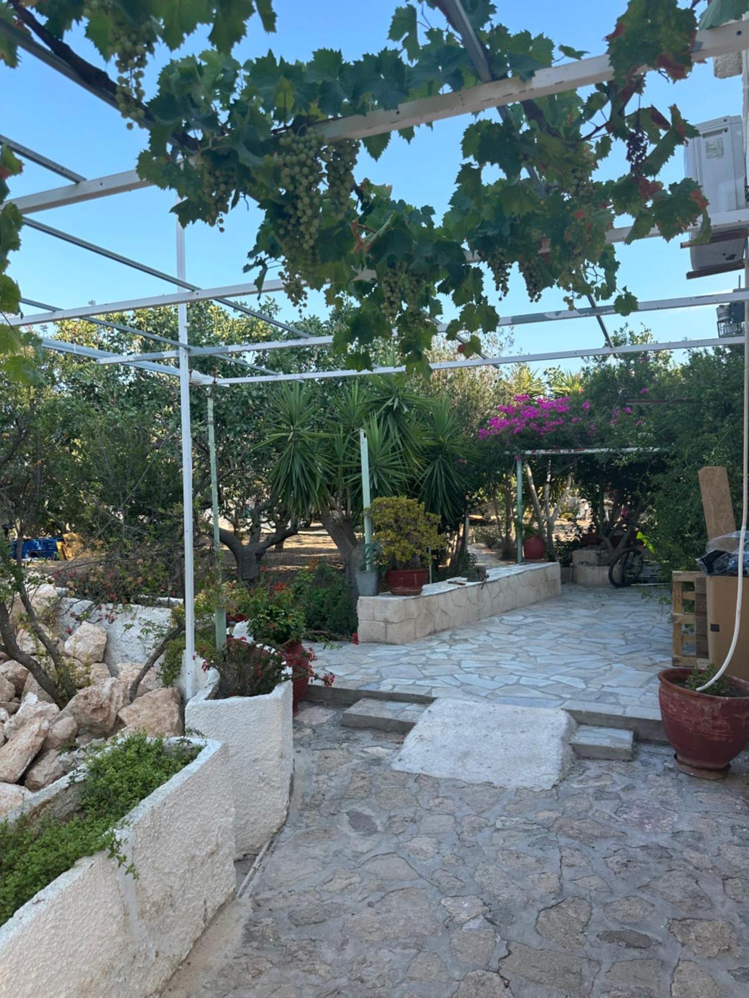 KhloiSolmar Aegina With Private Pool - Jacuzziアパートメント エクステリア 写真