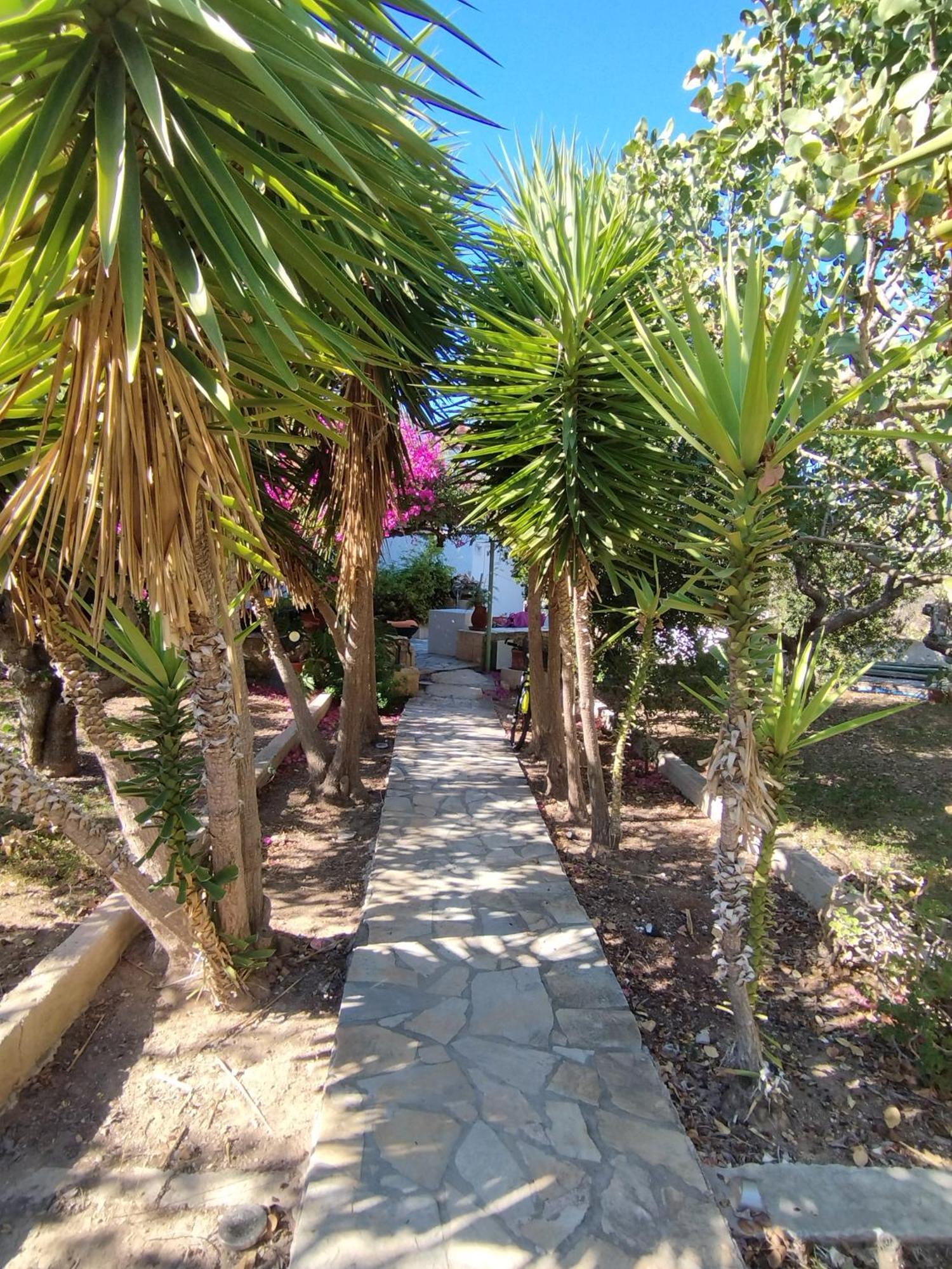 KhloiSolmar Aegina With Private Pool - Jacuzziアパートメント エクステリア 写真