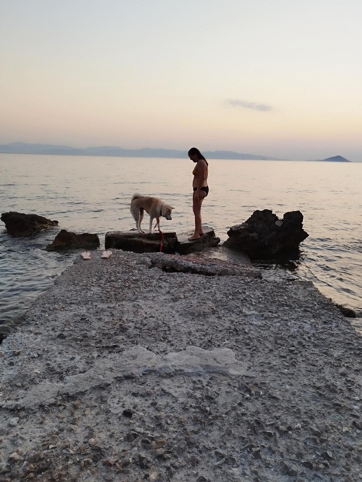 KhloiSolmar Aegina With Private Pool - Jacuzziアパートメント エクステリア 写真